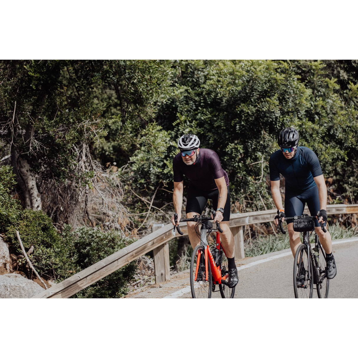 Force Winner Bib Shorts