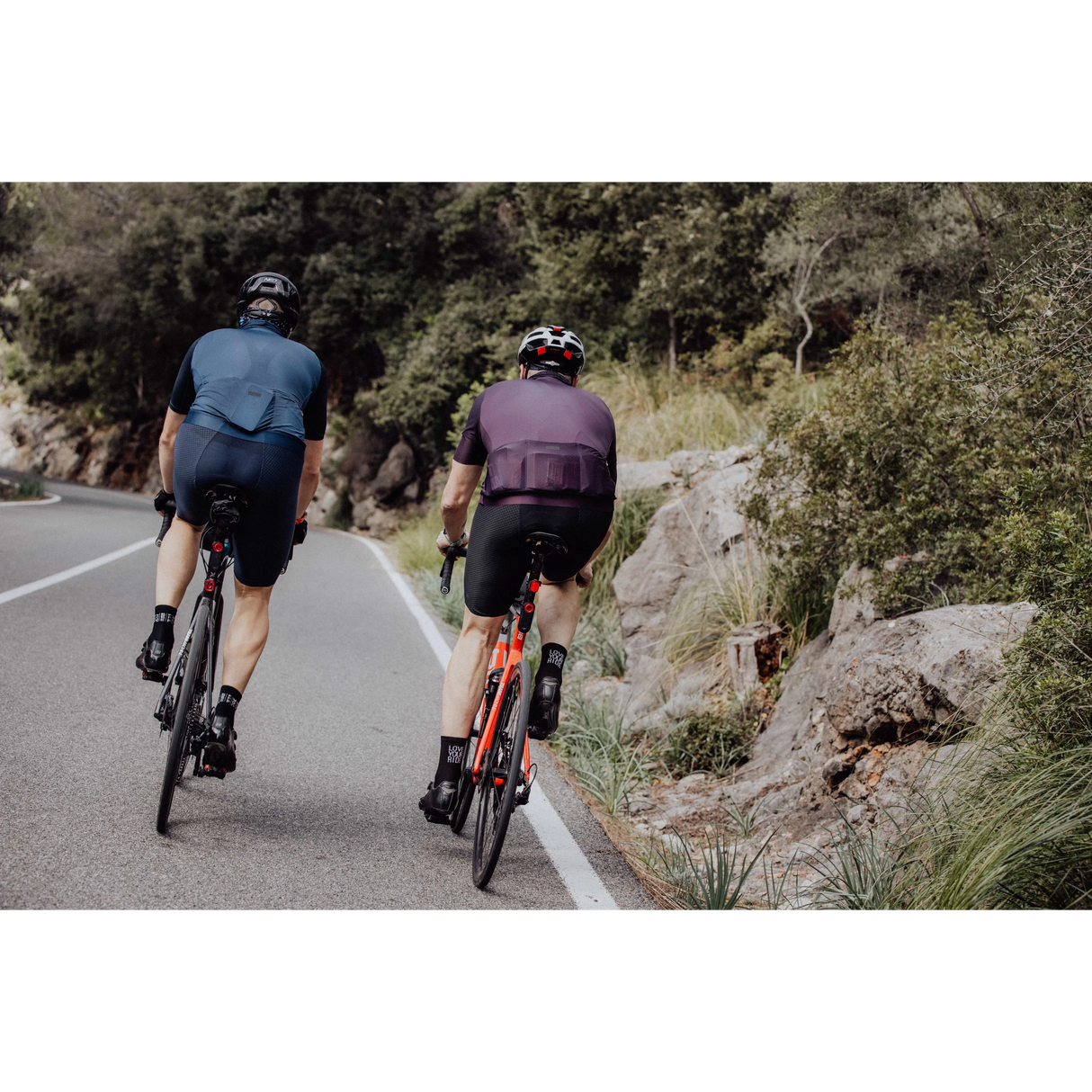 Force Winner Bib Shorts
