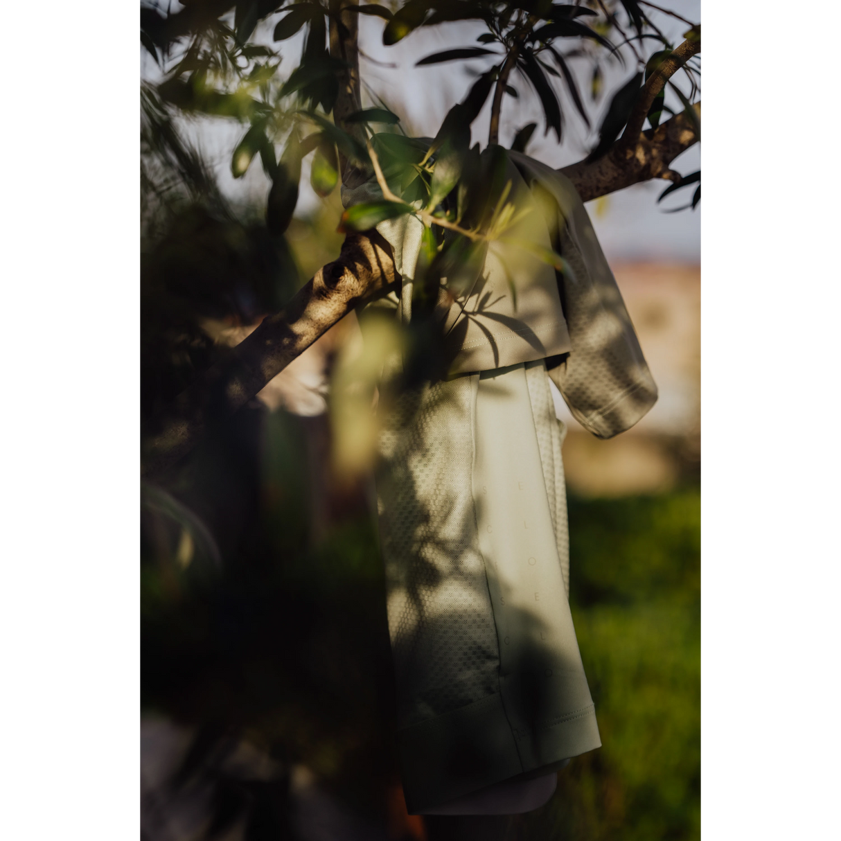 FORCE SCRIPT Jersey Short Sleeve